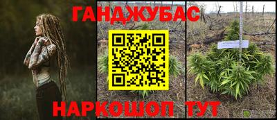 Альфа ПВП Ставрополь
