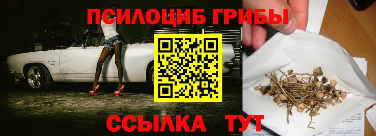 Галлюциногенные грибы Magic Shrooms Полевской